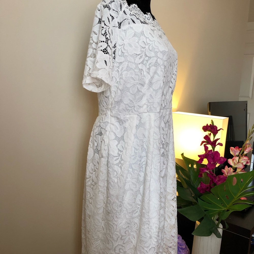 Women's Elegant Lace 3/4 Sleeve Crew Neck Dress - Picture 4 of 6